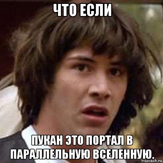 что если пукан это портал в параллельную вселенную., Мем А что если (Киану Ривз)