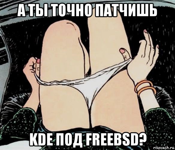 а ты точно патчишь kde под freebsd?, Мем А ты точно