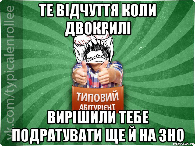 те відчуття коли двокрилі вирішили тебе подратувати ще й на зно, Мем абтура2