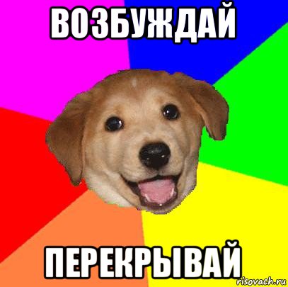 возбуждай перекрывай, Мем Advice Dog