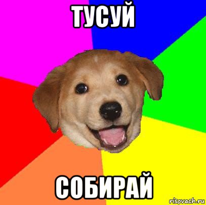 тусуй собирай, Мем Advice Dog