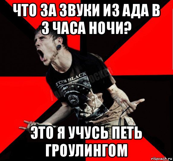 что за звуки из ада в 3 часа ночи? это я учусь петь гроулингом, Мем Агрессивный рокер