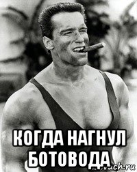  когда нагнул ботовода