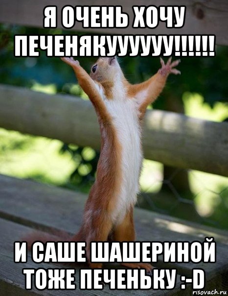 я очень хочу печенякуууууу!!!!!! и саше шашериной тоже печеньку :-d, Мем    белка молится