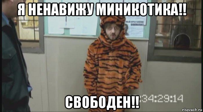 я ненавижу миникотика!! свободен!!, Мем Бородач в костюме тигра (Наша Раша)