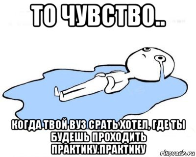 то чувство.. когда твой вуз срать хотел, где ты будешь проходить практику.практику, Мем   человек в луже плачет