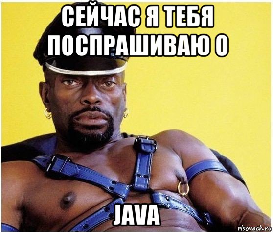 сейчас я тебя поспрашиваю о java, Мем Черный властелин