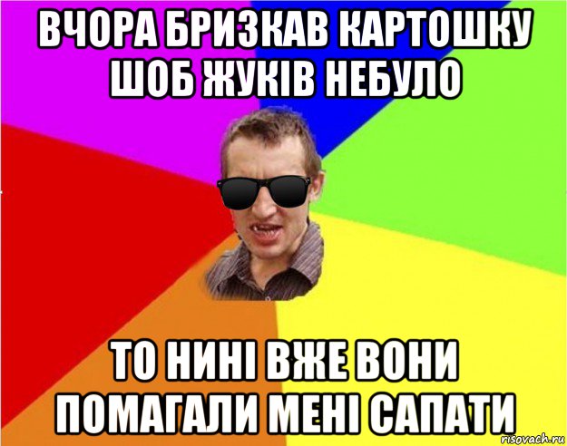 вчора бризкав картошку шоб жуків небуло то нині вже вони помагали мені сапати, Мем Чьоткий двiж