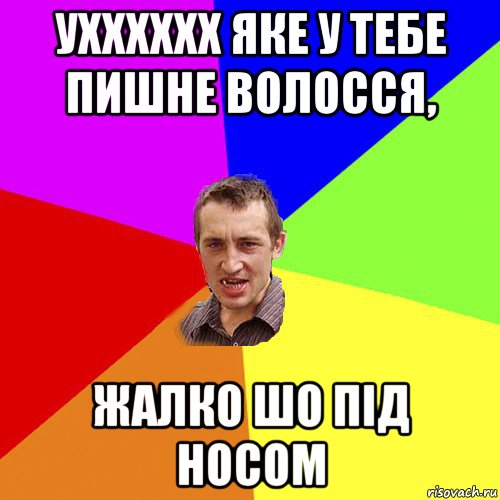 ухххххх яке у тебе пишне волосся, жалко шо під носом, Мем Чоткий паца