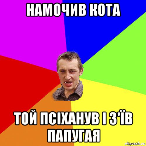 намочив кота той псіханув і з'їв папугая, Мем Чоткий паца