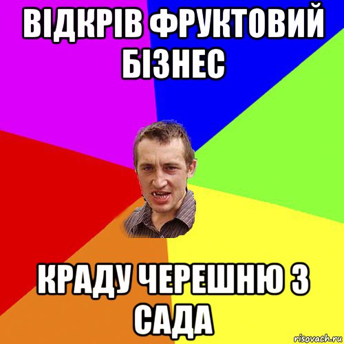 відкрів фруктовий бізнес краду черешню з сада, Мем Чоткий паца