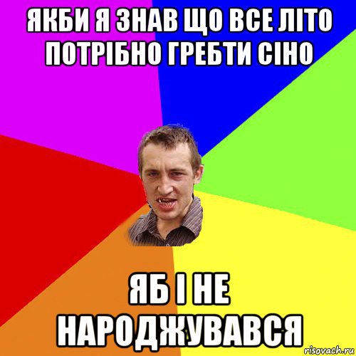 якби я знав що все літо потрібно гребти сіно яб і не народжувався, Мем Чоткий паца