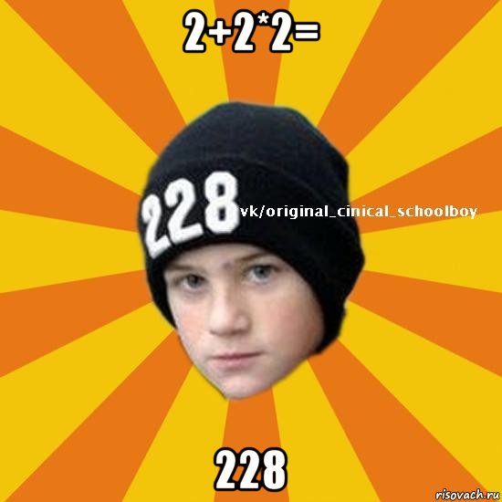 2+2*2= 228, Мем  Циничный школьник