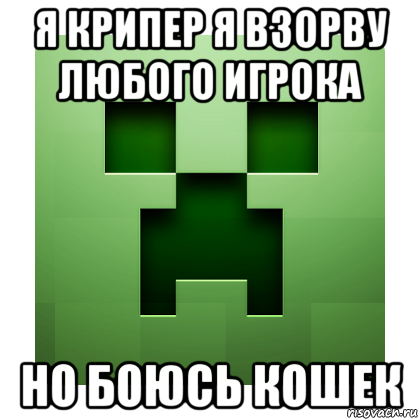 я крипер я взорву любого игрока но боюсь кошек, Мем Creeper