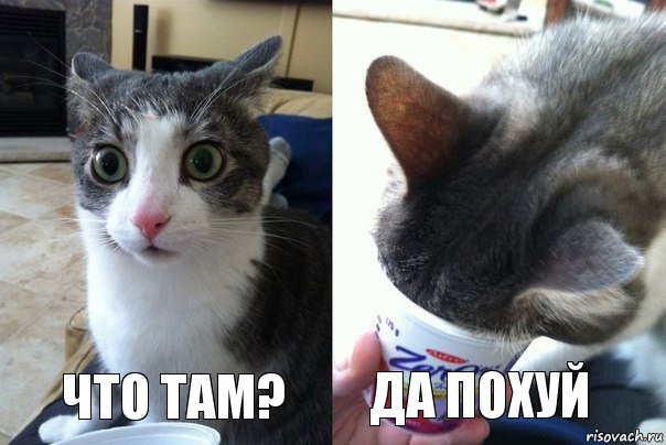 Что там? Да похуй, Комикс  Да не бред-какой-то (2 зоны)