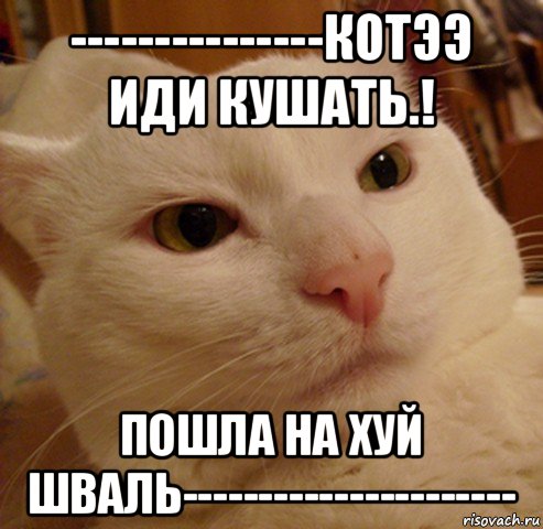 ---------------котээ иди кушать.! пошла на хуй шваль----------------------, Мем Дерзкий котэ