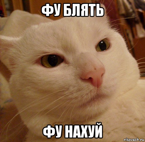 фу блять фу нахуй, Мем Дерзкий котэ