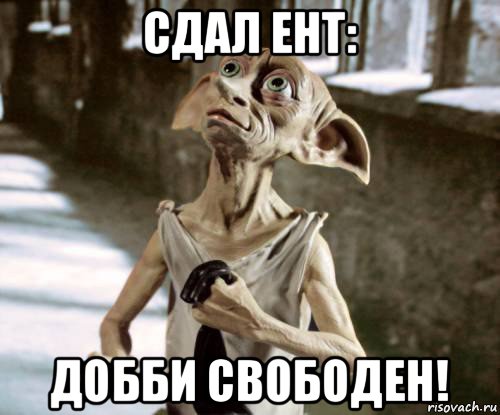 сдал ент: добби свободен!, Мем добби