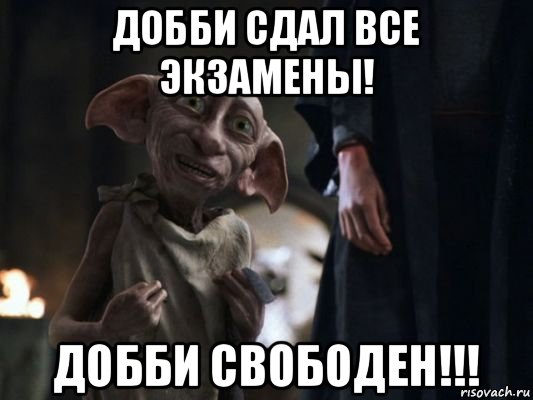 добби сдал все экзамены! добби свободен!!!