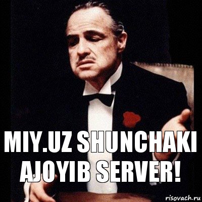 Miy.uz shunchaki ajoyib server!