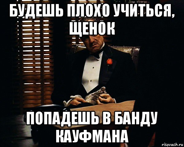 будешь плохо учиться, щенок попадешь в банду кауфмана, Мем Дон Вито Корлеоне