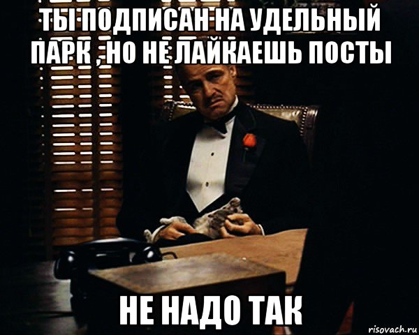 ты подписан на удельный парк , но не лайкаешь посты не надо так, Мем Дон Вито Корлеоне