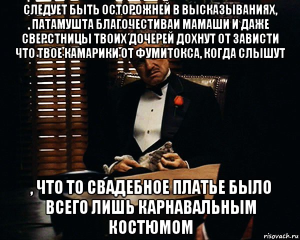 следует быть осторожней в высказываниях, патамушта благочестиваи мамаши и даже сверстницы твоих дочерей дохнут от зависти что твое камарики от фумитокса, когда слышут , что то свадебное платье было всего лишь карнавальным костюмом, Мем Дон Вито Корлеоне