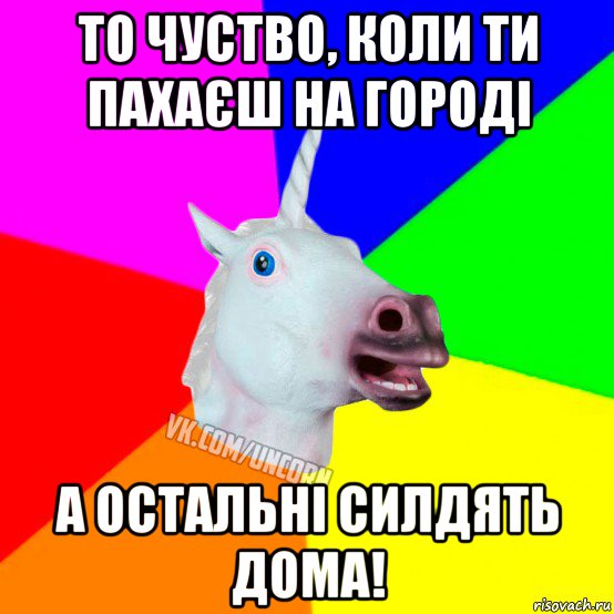 то чуство, коли ти пахаєш на городі а остальні силдять дома!, Мем Единорог Социофоб