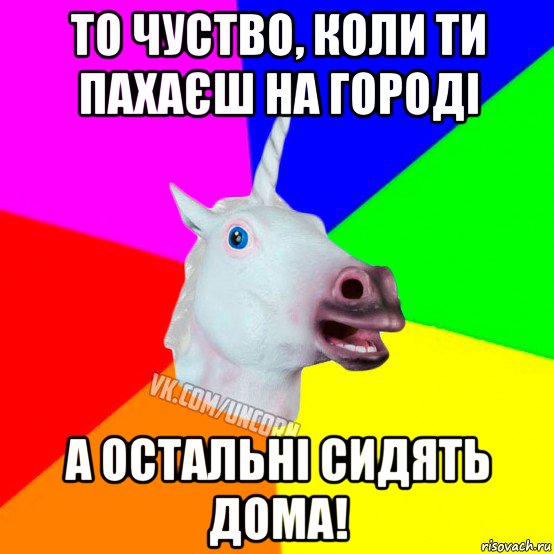 то чуство, коли ти пахаєш на городі а остальні сидять дома!, Мем Единорог Социофоб