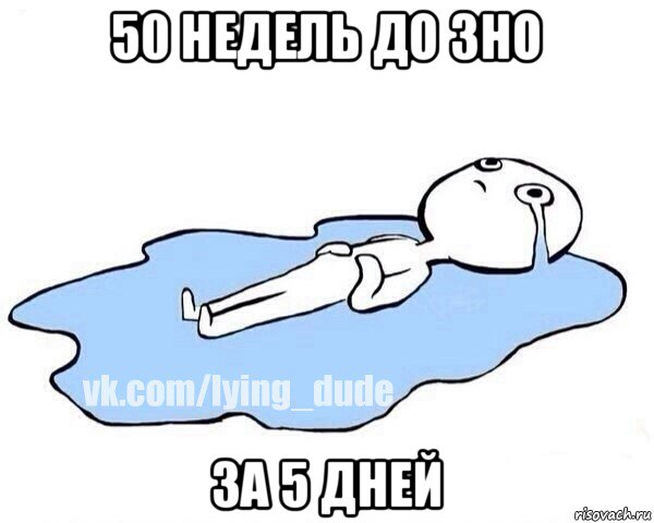 50 недель до зно за 5 дней, Мем Этот момент когда