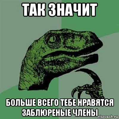 так значит больше всего тебе нравятся заблюреные члены, Мем Филосораптор