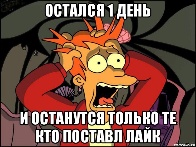 остался 1 день и останутся только те кто поставл лайк, Мем Фрай в панике