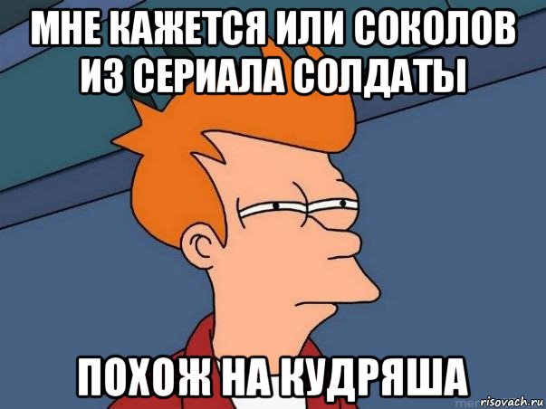 мне кажется или соколов из сериала солдаты похож на кудряша, Мем  Фрай (мне кажется или)