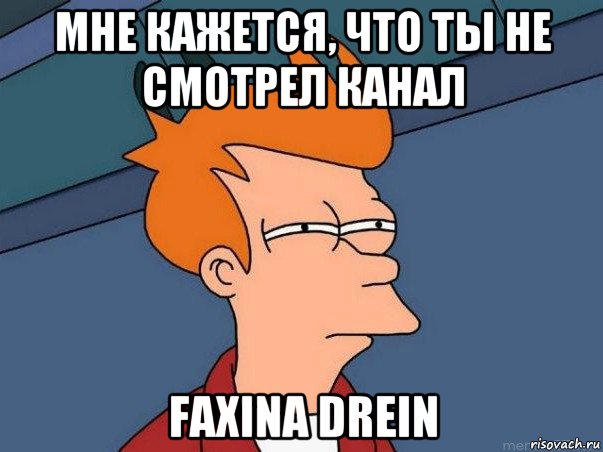 мне кажется, что ты не смотрел канал faxina drein, Мем  Фрай (мне кажется или)