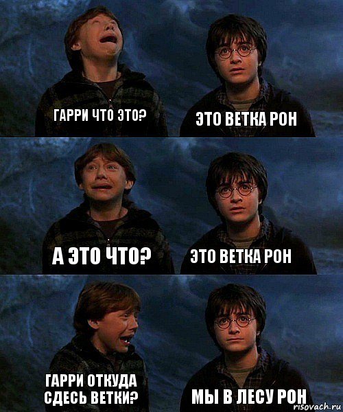 Гарри что это? Это ветка Рон А это что? Это ветка Рон Гарри откуда сдесь ветки? Мы в лесу Рон