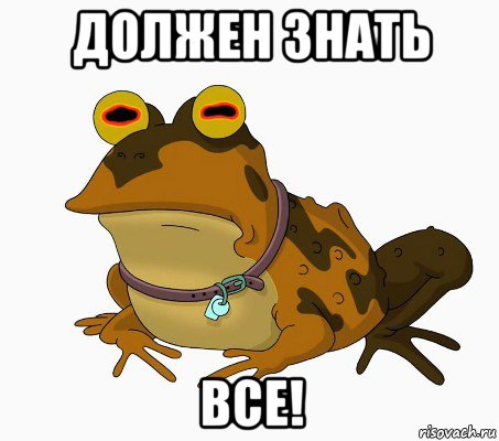 должен знать все!