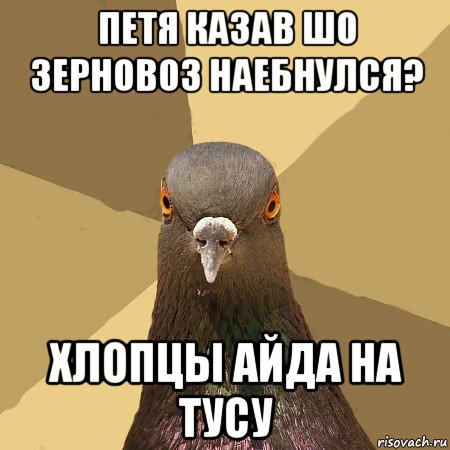 петя казав шо зерновоз наебнулся? хлопцы айда на тусу, Мем голубь