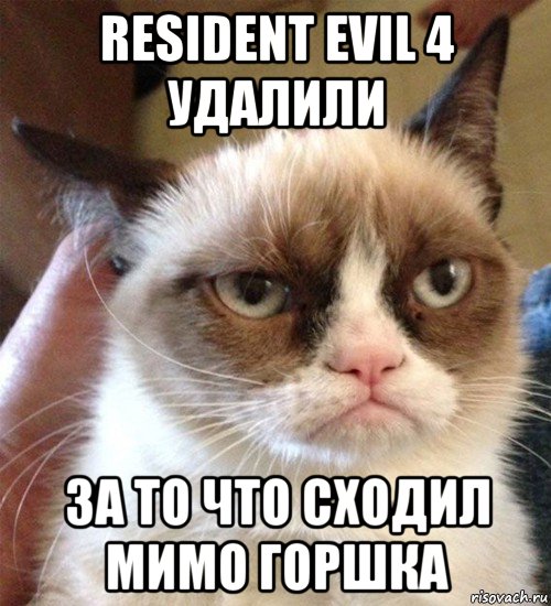 resident evil 4 удалили за то что сходил мимо горшка, Мем Грустный (сварливый) кот
