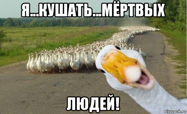 я...кушать...мёртвых людей!, Мем гуси