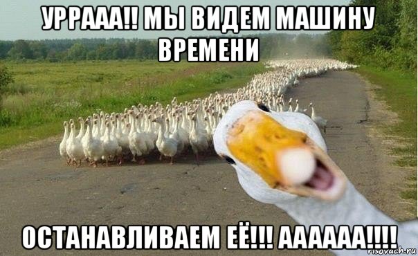 уррааа!! мы видем машину времени останавливаем её!!! аааааа!!!!, Мем гуси