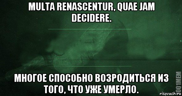 multa renascentur, quae jam decidere. многое способно возродиться из того, что уже умерло., Мем Игра слов 2