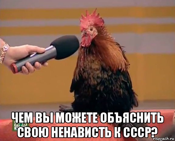  чем вы можете объяснить свою ненависть к ссср?