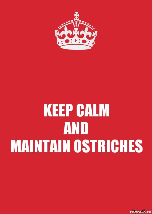 KEEP CALM
AND
MAINTAIN OSTRICHES, Комикс Keep Calm 3