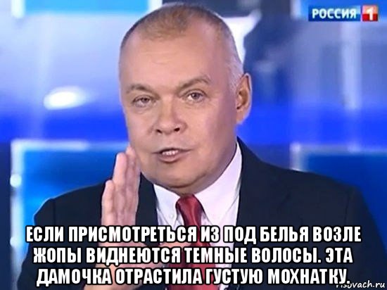  если присмотреться из под белья возле жопы виднеются темные волосы. эта дамочка отрастила густую мохнатку., Мем Киселёв 2014