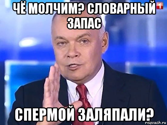 чё молчим? словарный запас спермой заляпали?, Мем Киселёв 2014