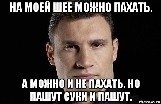 на моей шее можно пахать. а можно и не пахать. но пашут суки и пашут., Мем Кличко