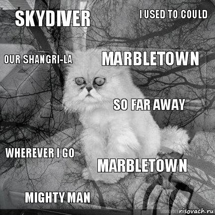 Skydiver  Marbletown Mighty Man  I Used to Could Marbletown Our Shangri-La Wherever I Go So Far Away, Комикс  кот безысходность