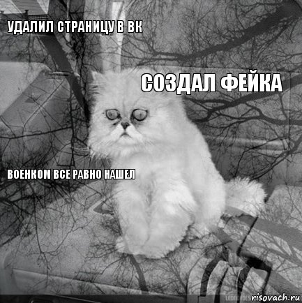 Удалил страницу в вк  Создал фейка  Военком все равно нашел     , Комикс  кот безысходность