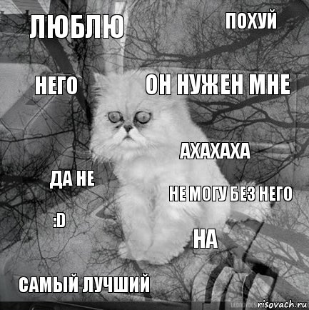 Люблю Не могу без него Он нужен мне Самый лучший Да не похуй на него :D ахахаха, Комикс  кот безысходность