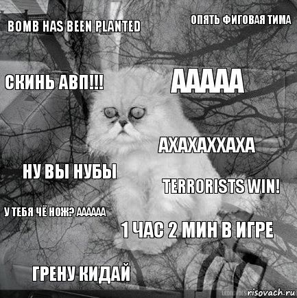 Bomb has been planted terrorists win! ААААА ГРЕНУ КИДАЙ Ну вы нубы Опять фиговая тима 1 час 2 мин в игре СКИНЬ АВП!!! У тебя чё нож? АААААА АХАХАХХАХА, Комикс  кот безысходность